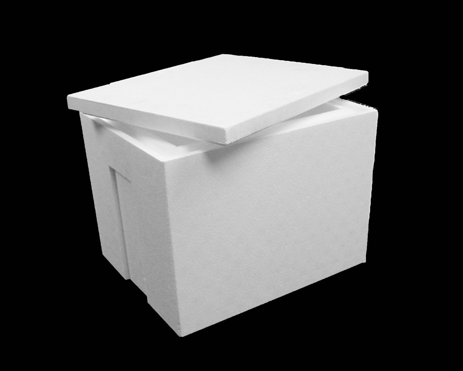 Large cooler Pick up only Moksa Dry Ice